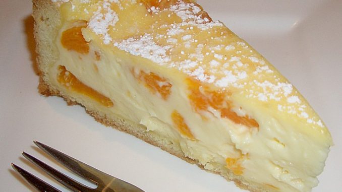 Mandarinen-Schmand-Pudding-Kuchen