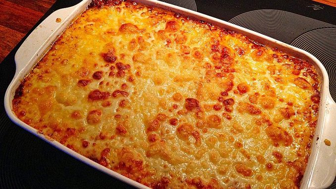 lasagne