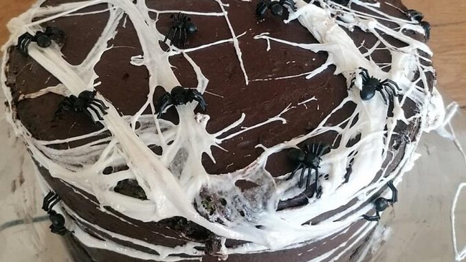 schokoladenkuchen-suesse-suende-mal-ganz-zart