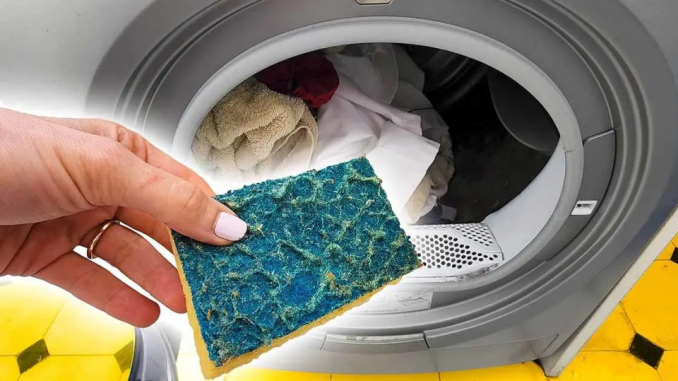 Jetez-une-eponge-a-vaisselle-dans-la-lave-linge-1200x628-1-960x540